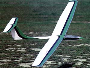 Sailplanes and Gliders RC Model Airplane Plans